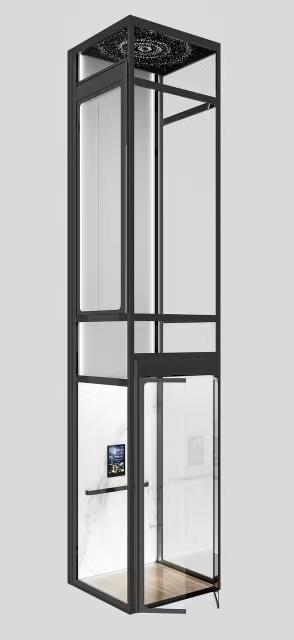 Platform type Elevator